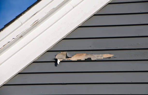 Best Insulated Siding Installation  in Sauk Rapids, MN